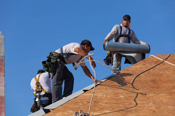 Best Roofing Contractor Near Me  in San Felipe, TX